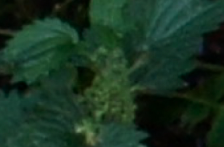 Picture 14.png
