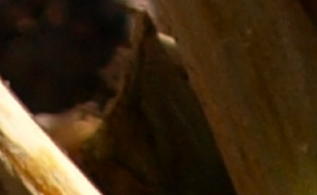 Picture 16.png