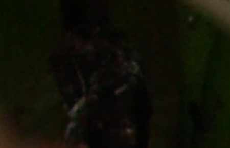 Picture 15.png