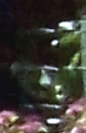 Picture 43 19-55-11.png