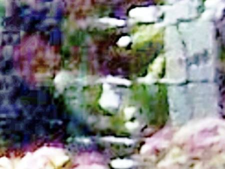 smaceyenhanced7.jpg