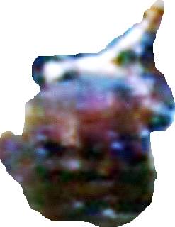 waterpuck4.jpg