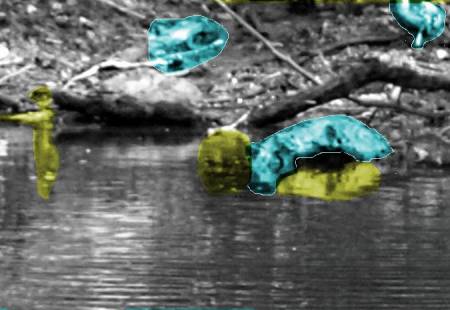 Water_Puck_Buddies.jpg