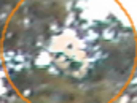 5150e.jpg