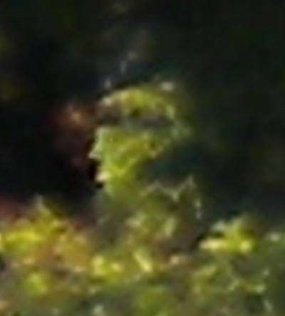 3512_2c.jpg