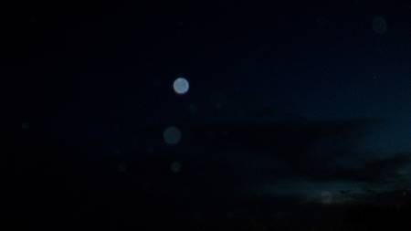 100_8085c.JPG