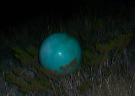 100_8280c.jpg