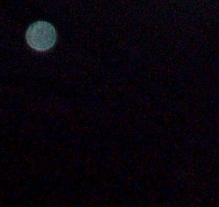 100_8354 copy.JPG