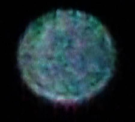100_8354zoom.jpg