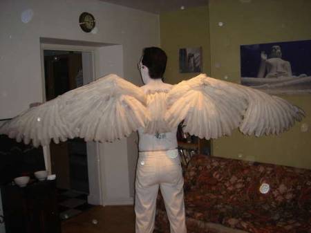 How-to-make-a-pair-of-Angel-Wings.jpg