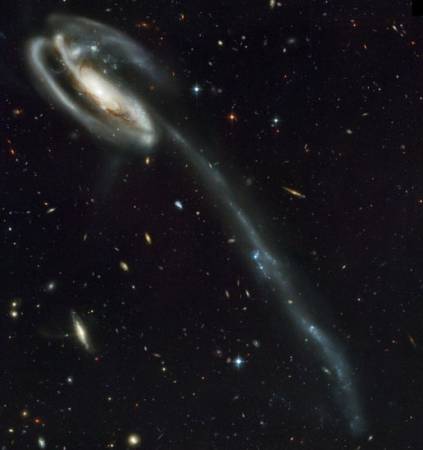 tadpole_galaxy.jpg