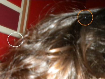 myhair5884.jpg
