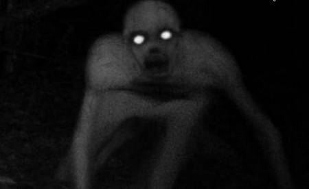 louisiana_woods_creature2b.jpg