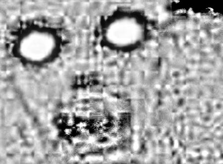 louisiana_woods_creature2d.jpg