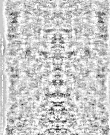 wolf6184d.jpg