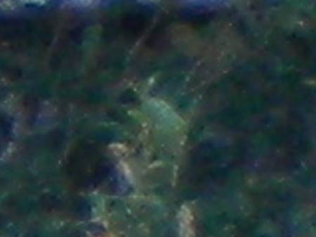 fairy6056b.jpg
