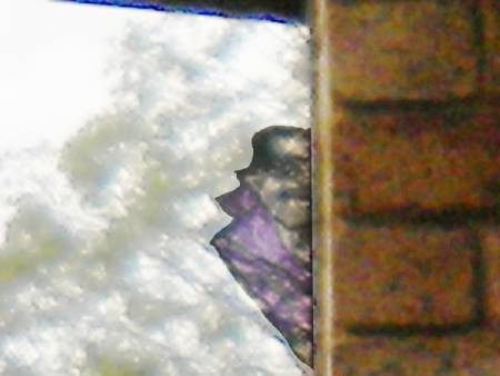 cross_vamp6232e.jpg
