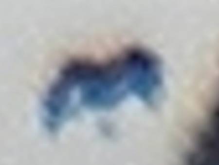 6276b.jpg