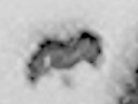 6276d.jpg