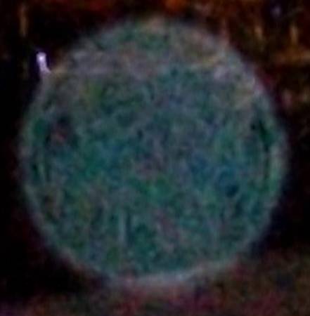 100_1382z.jpg