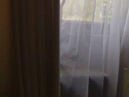 vampiress_curtain_c.jpg