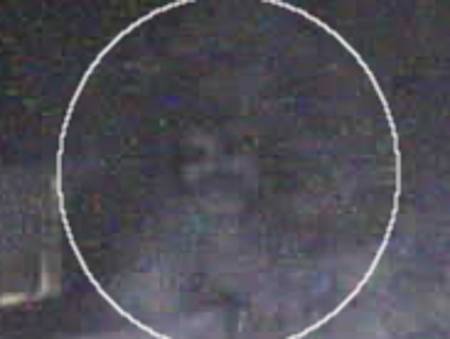 10may2011d.jpg