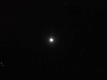 7197_900.jpg