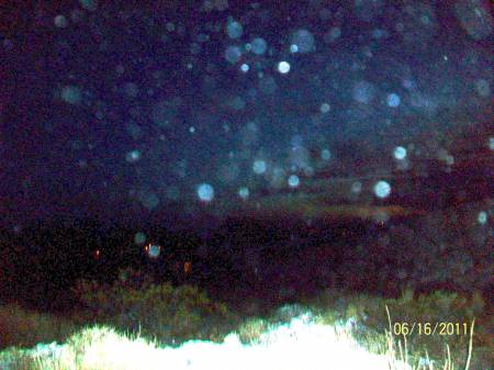 100_3814c.jpg