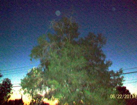 100_3882c.JPG
