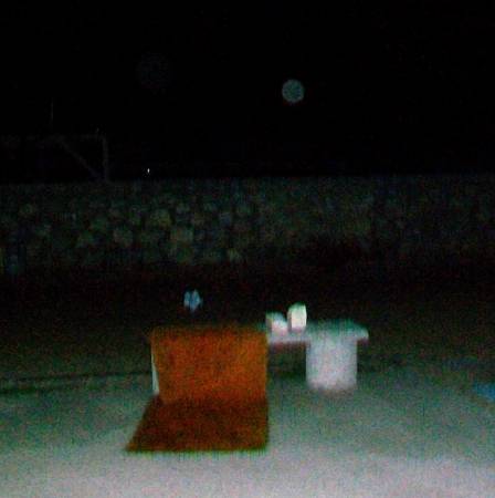 100_9579c.JPG