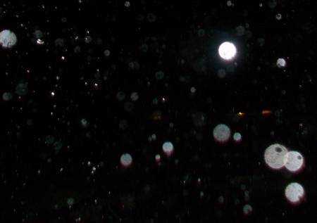 101_0086c.JPG