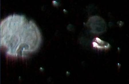 101_0086crop2.jpg