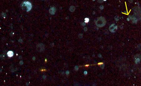 101_0093c.jpg