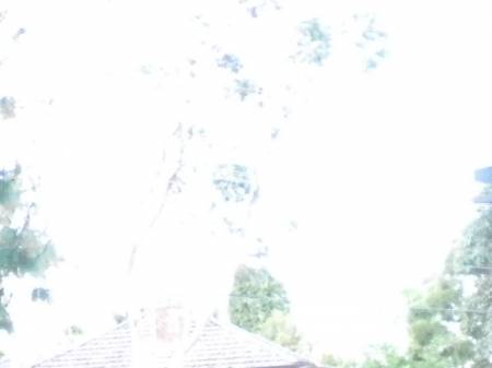 whiteout_eye7834b.jpg