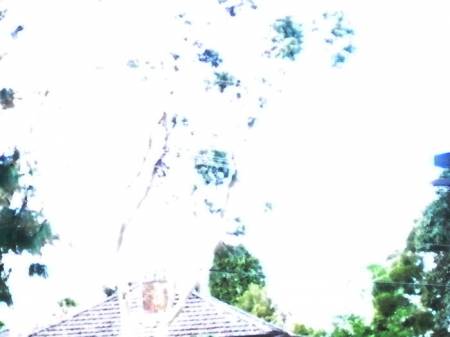whiteout_eye7834c.jpg
