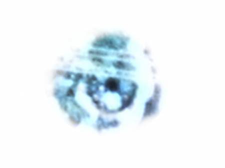 whiteout_eye7834f.jpg
