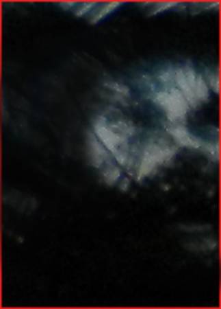 7840c.jpg