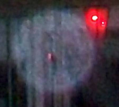 100_0556z.jpg