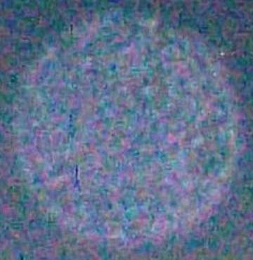 101_0545z.jpg