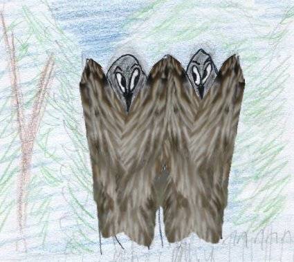 owlmen.jpg