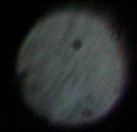 101_1335z.jpg