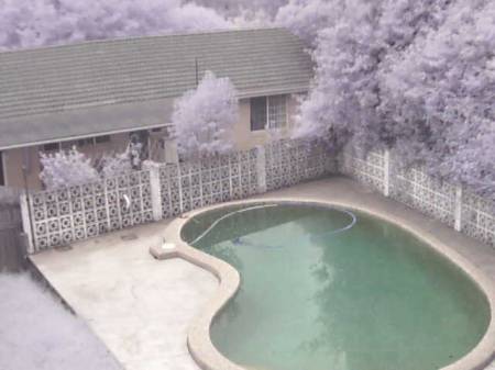 Poolcam.jpg