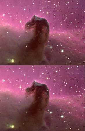 horsehead.jpg