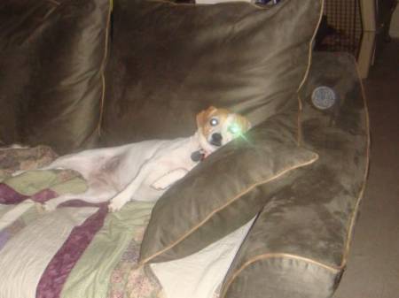 twinkle_eye_chi.jpg