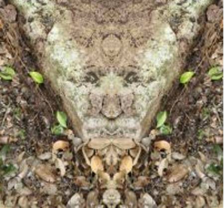 mayan_jungle_rock.jpg