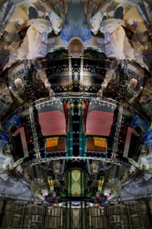 capsule_angels600.jpg