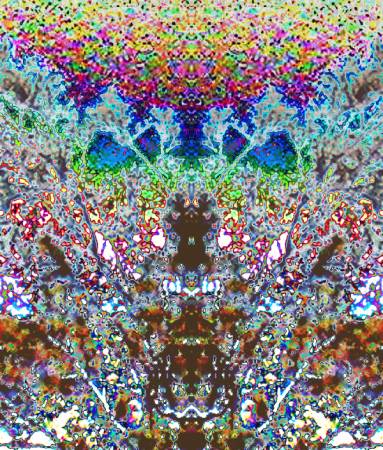 butterfly_woman3489blue.jpg