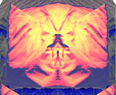 canine_swami3460.jpg