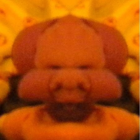 pig3559.jpg