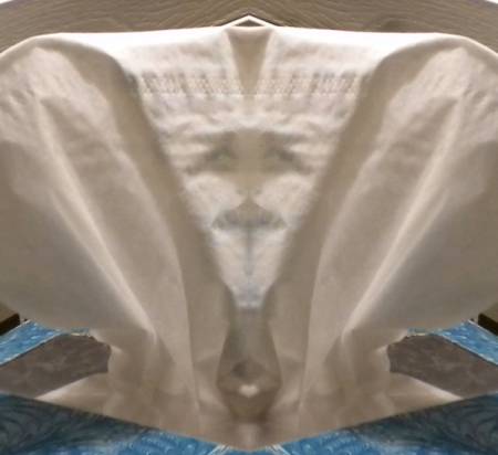tissue_man3594.jpg